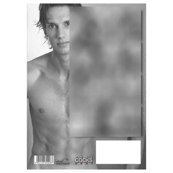 Real Cocks 2027 - calendario erotico da parete (1 pz)