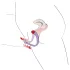 You2Toys - divaricatore vaginale - regolabile
