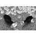 You2Toys - plug anale piccolo - silicone - con diamante