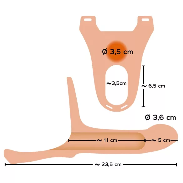 You2Toys - strap-on con dildo vuoto - colore naturale - misura M