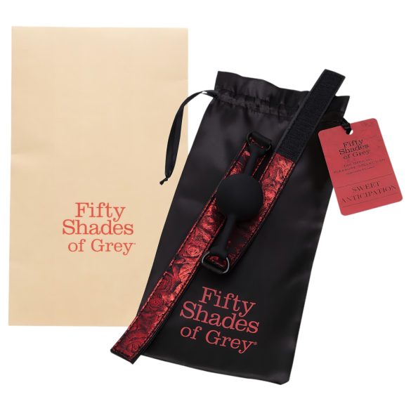 Fifty Shades of Grey - ballgag - bocca con cinturino regolabile - nero rosso