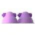 Fantasy For Her coppia di succhiotti vibranti per capezzoli - viola