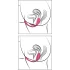 SMILE - vibratore a ovulo wireless ricaricabile - rosa