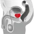 You2Toys - Massaggiatore prostatico rotante - vibratore prostata nero