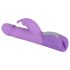 SMILE Push - vibratore viola con braccio clitorideo
