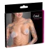 Cottelli - copricapezzoli con catena - argento
