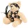 Bad Kitty - set BDSM con orsacchiotto di peluche e frustino