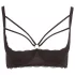 Cottelli Plus Size - reggiseno sollevaseno con spalline e anelli - nero - 85E