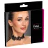 Cottelli - collarino pizzo con perle - nero