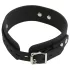 Bad Kitty - collare e guinzaglio in silicone nero