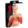 LATEX - guanti lunghi unisex - rosso - M