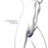 Love to Love Wonderlover - vibratore punto G e clitoride (viola scuro)