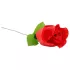 Panty Rose - tanga nascosto in rosa - rosso (S-L)