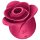 Satisfyer Pro 2 Rose Modern - Stimolatore Clitorideo a Onde d'Aria (Rosso)