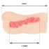Studente delle scuole superiori TAMASHII - masturbatore a forma di vagina hentai (color carne)
