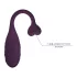 Pretty Love Fisherman - intelligente ovetto vibrante (viola)