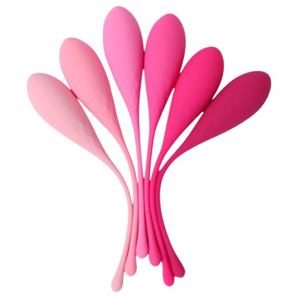 Set di 6 Palline Vaginali Gésa - Sex HD (rosa)