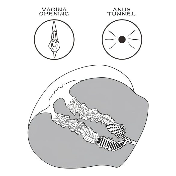 Lovetoy Streetgirl's 12 - masturbatore vaginale torso - tanga inclusa