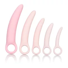   CalExotics Inspire - set dilatatori vaginali medici - silicone rosa