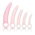 CalExotics Inspire - Set di dilatatori vaginali (rosa) per il benessere femminile
