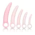 CalExotics Inspire - set dilatatori vaginali medici - silicone rosa