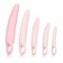 CalExotics Inspire - Set di dilatatori vaginali (rosa) per il benessere femminile