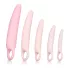 CalExotics Inspire - set dilatatori vaginali medici - silicone rosa