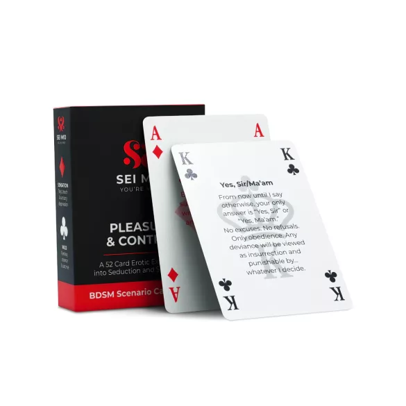 Sei Mio Pleasure & Control - gioco di carte BDSM (52 carte)