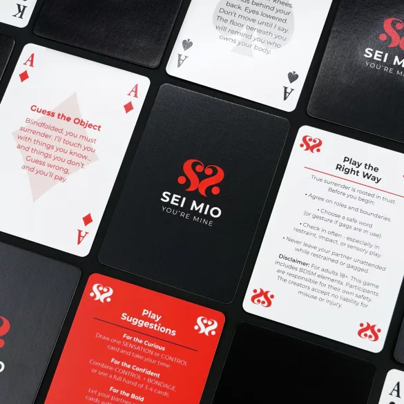 Sei Mio Pleasure & Control - gioco di carte BDSM (52 carte)