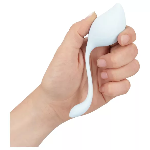 Loveline - set di sfere vaginali Kegel - 5 pezzi