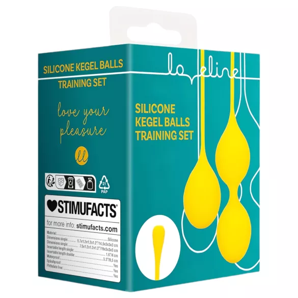 Scatola regalo - 20 pz - 230x100x440mm