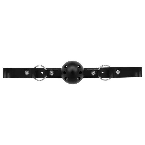 Secret Pleasure Chest - kit BDSM avanzato - 14 pezzi - nero