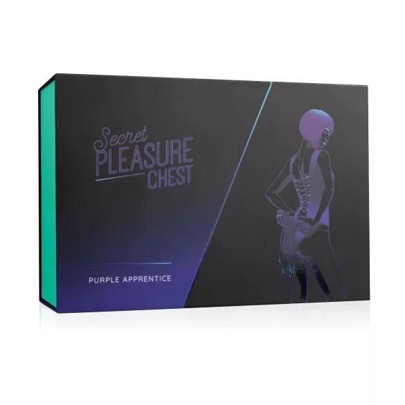 Secret Pleasure Chest - kit BDSM avanzato 14 pezzi