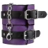 Secret Pleasure Chest - kit BDSM avanzato 14 pezzi