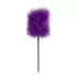 Secret Pleasure Chest - kit BDSM avanzato 14 pezzi