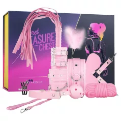 Secret Pleasure Chest - kit BDSM avanzato - 14 pezzi (rosa)