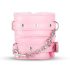 Forziere del Piacere Segreto - Kit BDSM Avanzato - 14 pezzi (rosa)