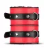 Secret Pleasure Chest - kit bondage avanzato - 10 pezzi - rosso