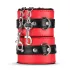 Secret Pleasure Chest - kit bondage avanzato - 10 pezzi - rosso