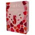 Dreamtoys Amour - set di vibratore indossabile con slip (rosso)
