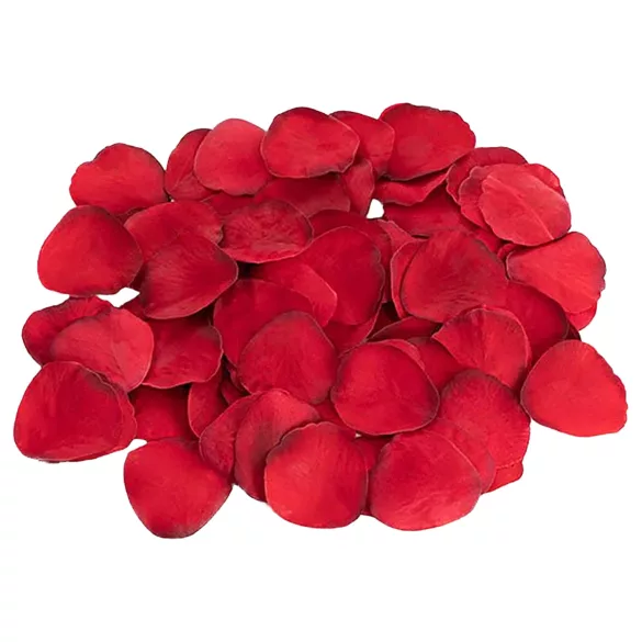 Dreamtoys Amour - set di vibratore wand (rosso)