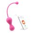 Magic Motion Kegel Master - Duo di palline geisha smart (rosa)